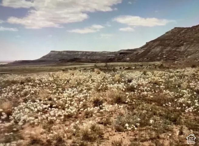 Expansive desert landscape featuring natural vegetation and distant mesa formations