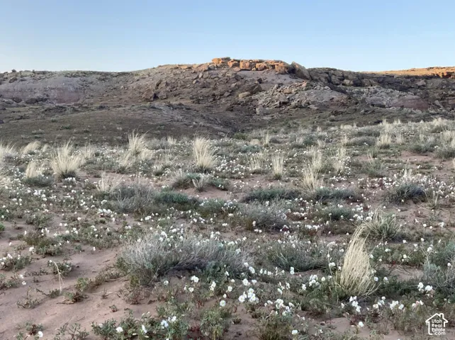 Expansive desert landscape featuring natural rock formations