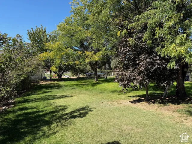 Expansive lawn area with mature trees and varied foliage