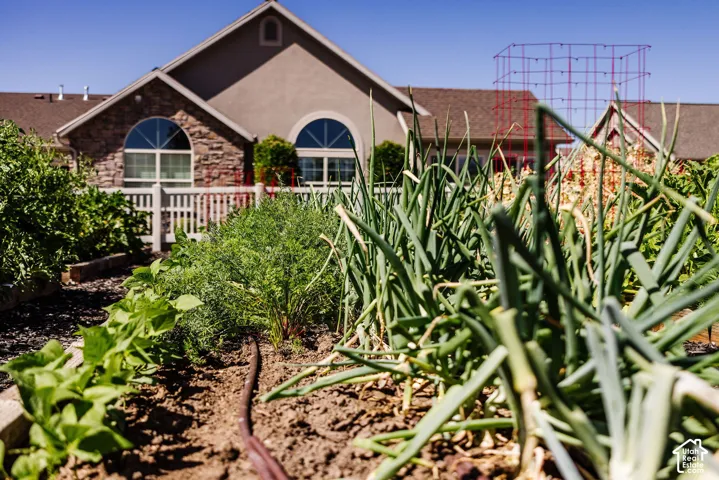 Cultivated garden beds featuring a drip irrigation system