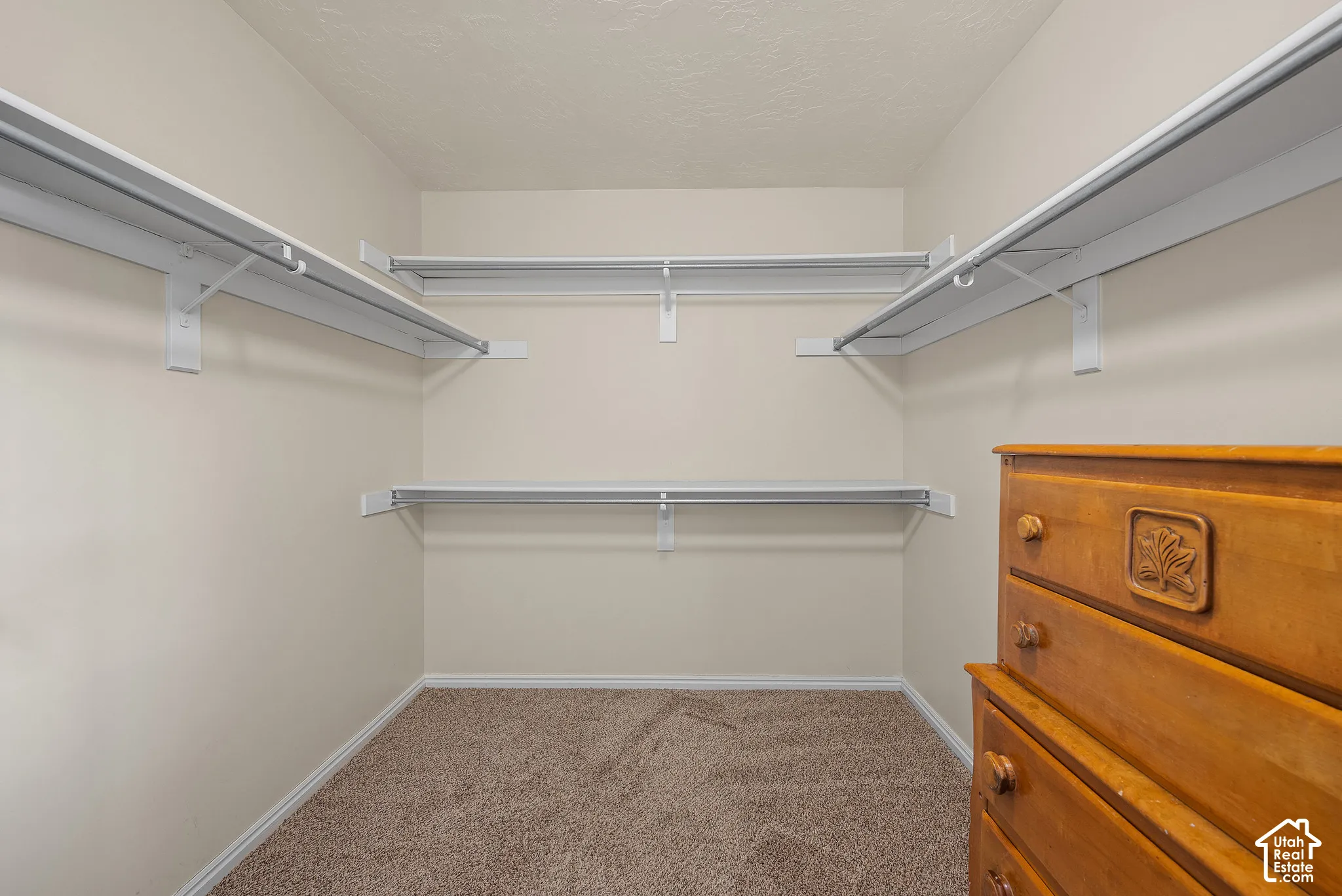 Built-in shelving with hanging rods and neutral tone carpet flooring