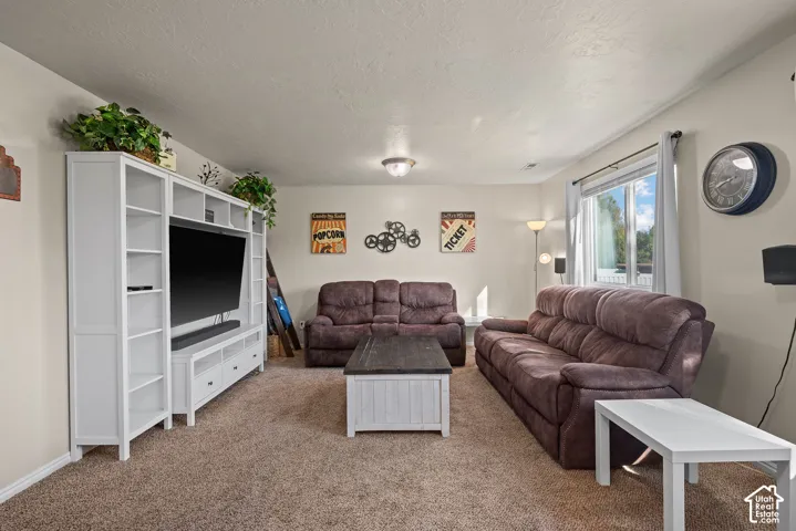 Wall-to-wall carpeting throughout, with a built-in media center featuring shelving and drawer storage