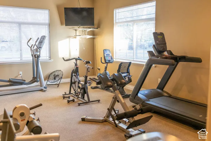 Carpeted exercise room featuring multiple windows with blinds, a wall-mounted television, and a ceiling fan