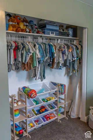 Closet featuring a built-in upper shelf, clothing rod, and carpet flooring