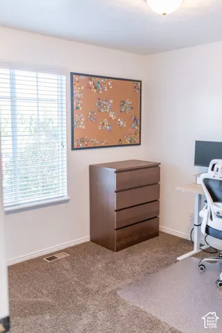 Window with blinds and carpeted flooring