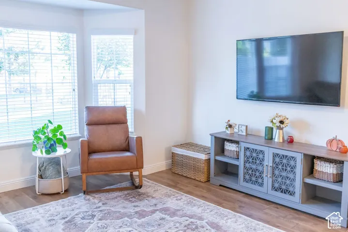 Bay window with multiple panels, wood-finish flooring, built-in media console with decorative doors, wall-mounted television