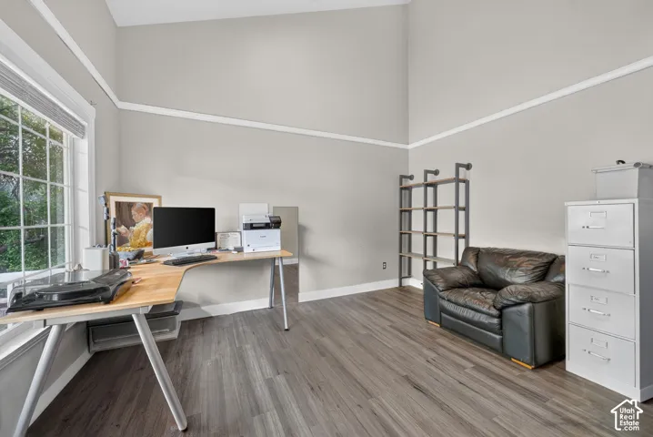 Vaulted ceiling, wood-finish flooring, white crown molding, large window, and light gray wall paint