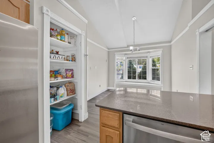 Kitchen featuring a built-in pantry, stainless steel dishwasher, and a stone-finish countertop