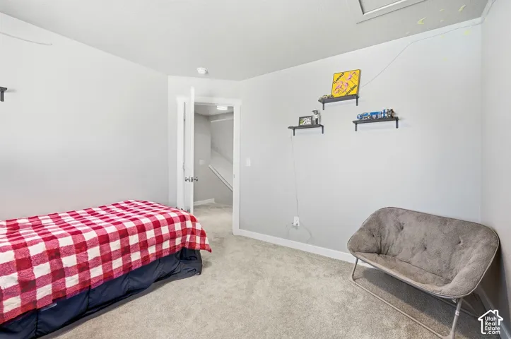 Neutral wall paint, soft gray carpeting, and white trim