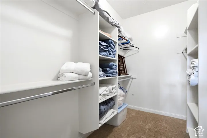 Built-in shelving and hanging rods with carpet flooring