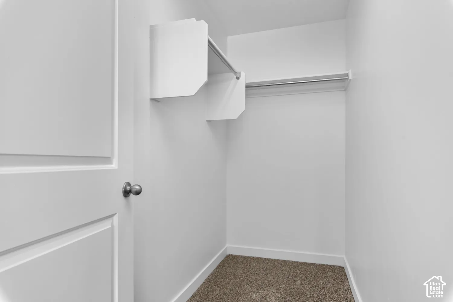 Integrated shelving and hanging rod, neutral wall color, carpet flooring, and white trim