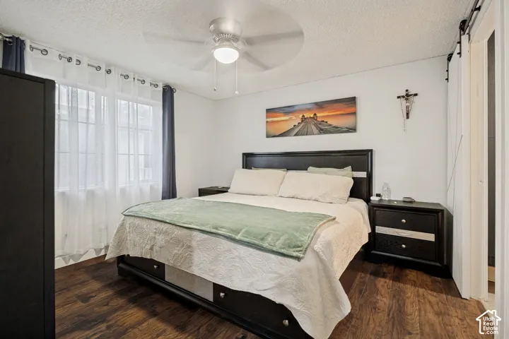 Wood-finish flooring, ceiling fan with integrated lighting, and multiple windows with curtain rods