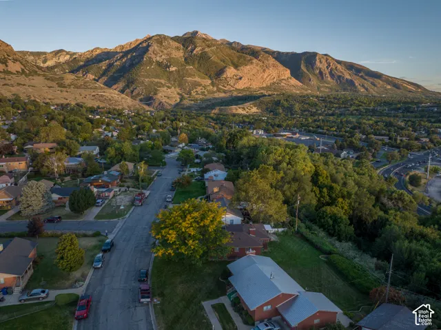 Mountain backdrop, residential street, established trees, asphalt road, sloped terrain