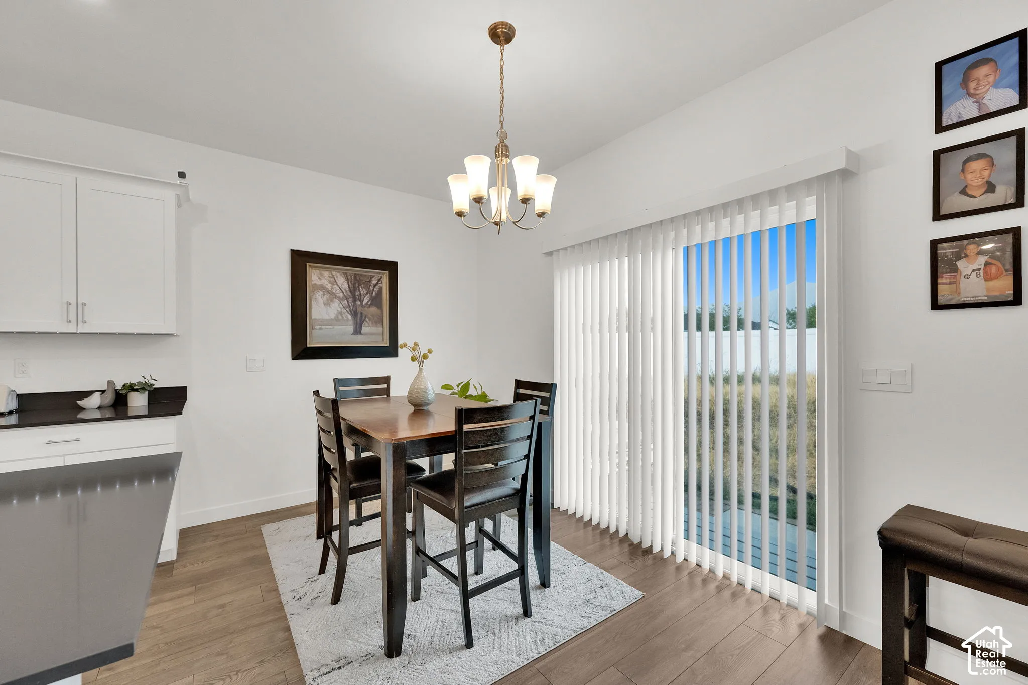 White cabinetry, dark countertops, and wood-finish flooring