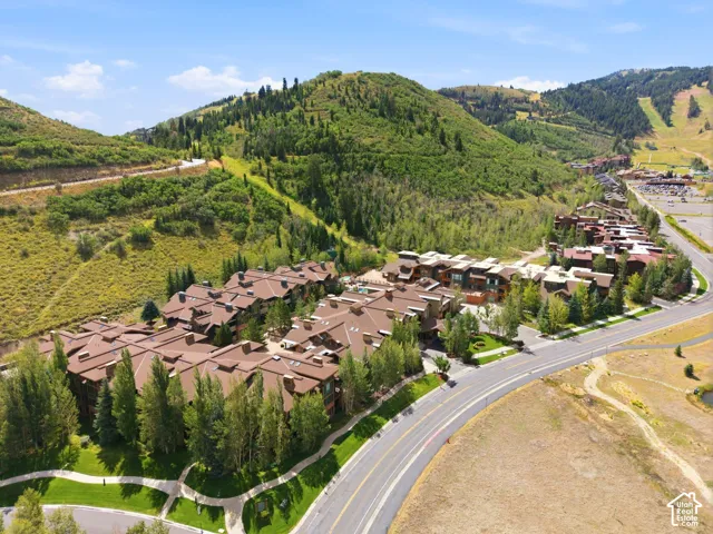Aerial perspective highlighting the multi-building property layout, surrounded by mature trees and natural landscaping, with a paved road bordering the perimeter