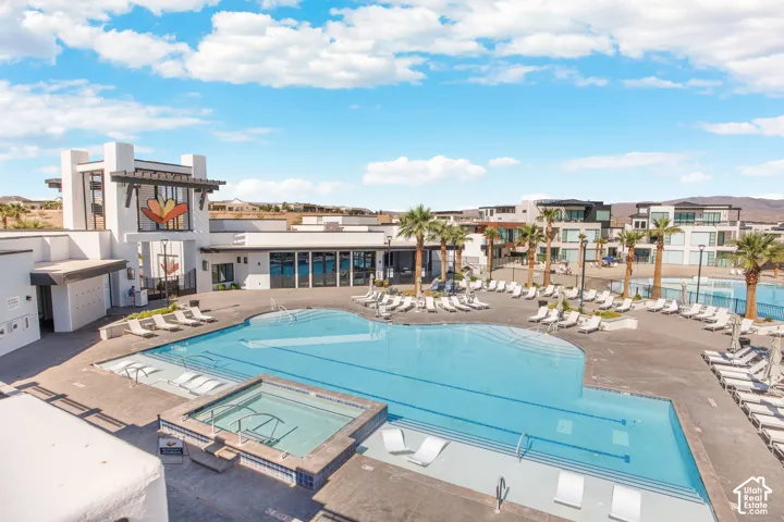 Expansive swimming pool with integrated spa, concrete decking, and mature palm trees
