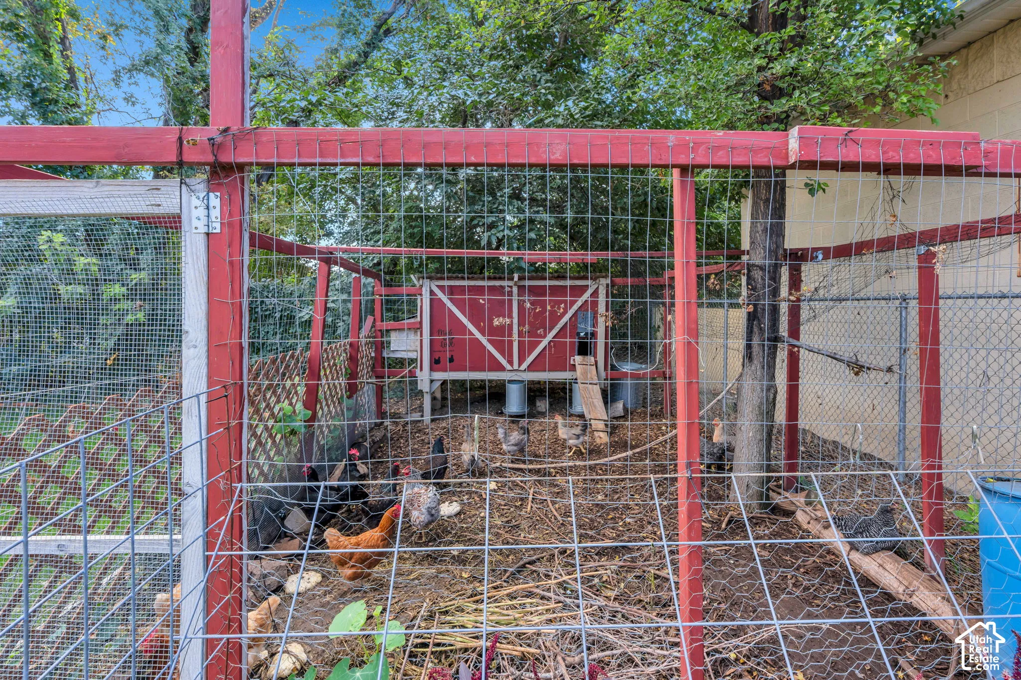Enclosed outdoor structure with red-painted wood framing and metal mesh fencing