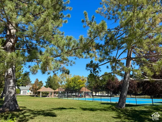 Expansive green space featuring mature trees, a blue-surfaced sports court, and covered structures