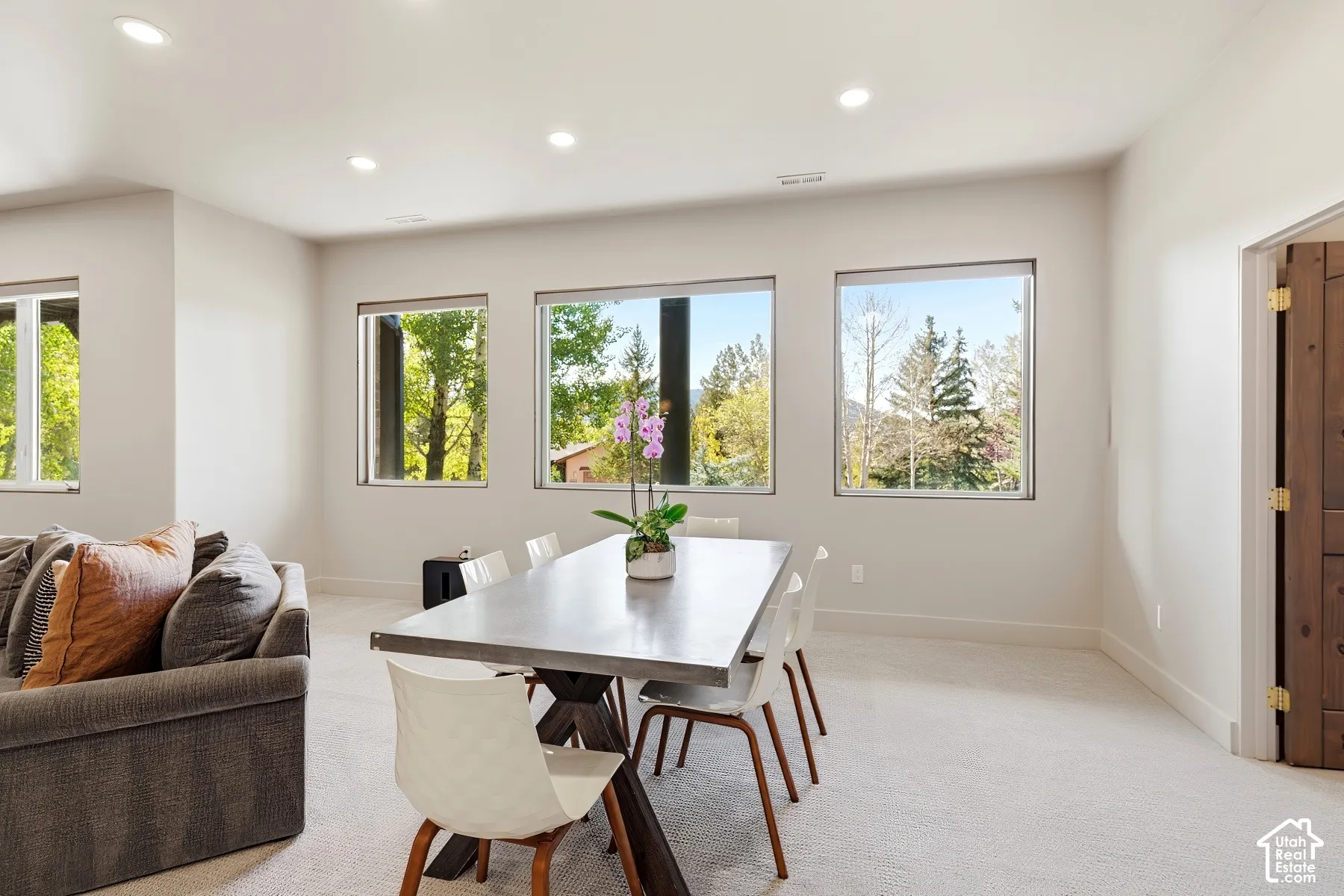 Recessed lighting throughout, multiple windows, light-colored carpeting, and a visible wood door with brass-toned hinges