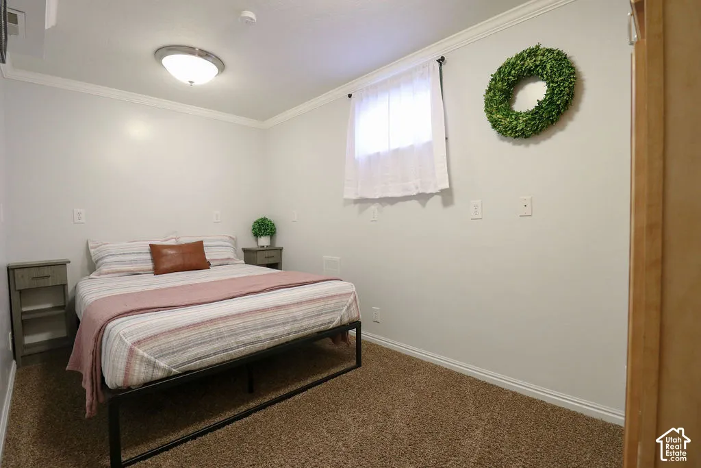 Neutral wall color, wall-to-wall carpeting, crown molding, and a flush mount ceiling light