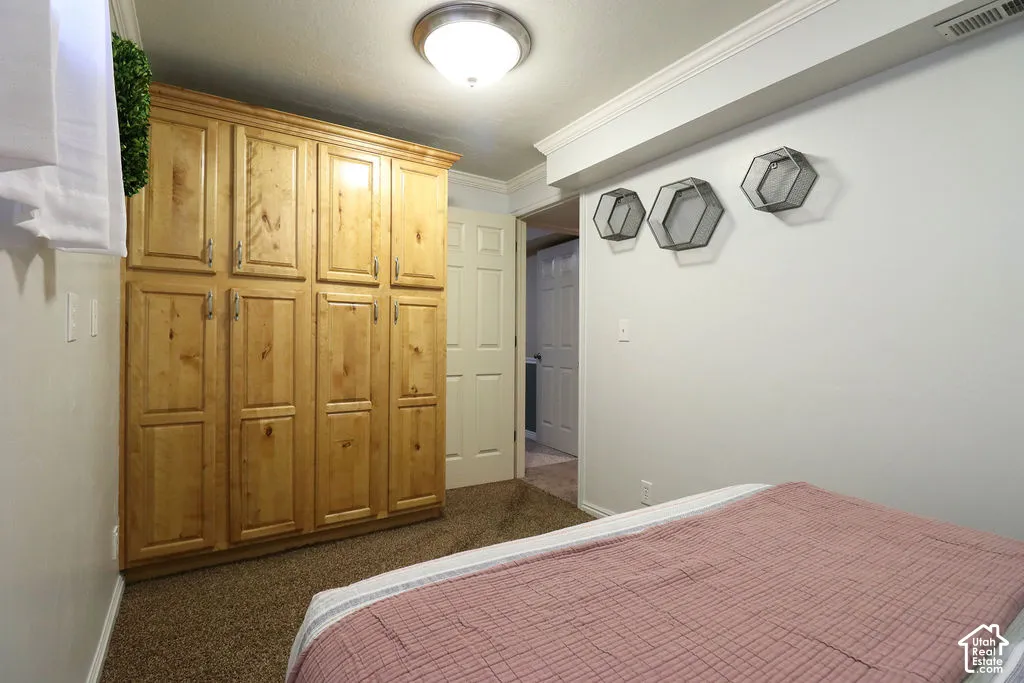 Built-in wood cabinetry with crown molding, textured carpeting, and a flush-mount ceiling light fixture