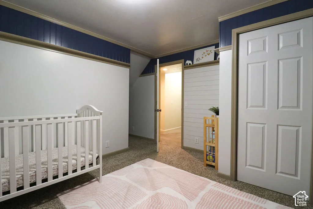 Textured carpeting, white interior walls, vertical paneling detail, interior paneled door, wood trim accents
