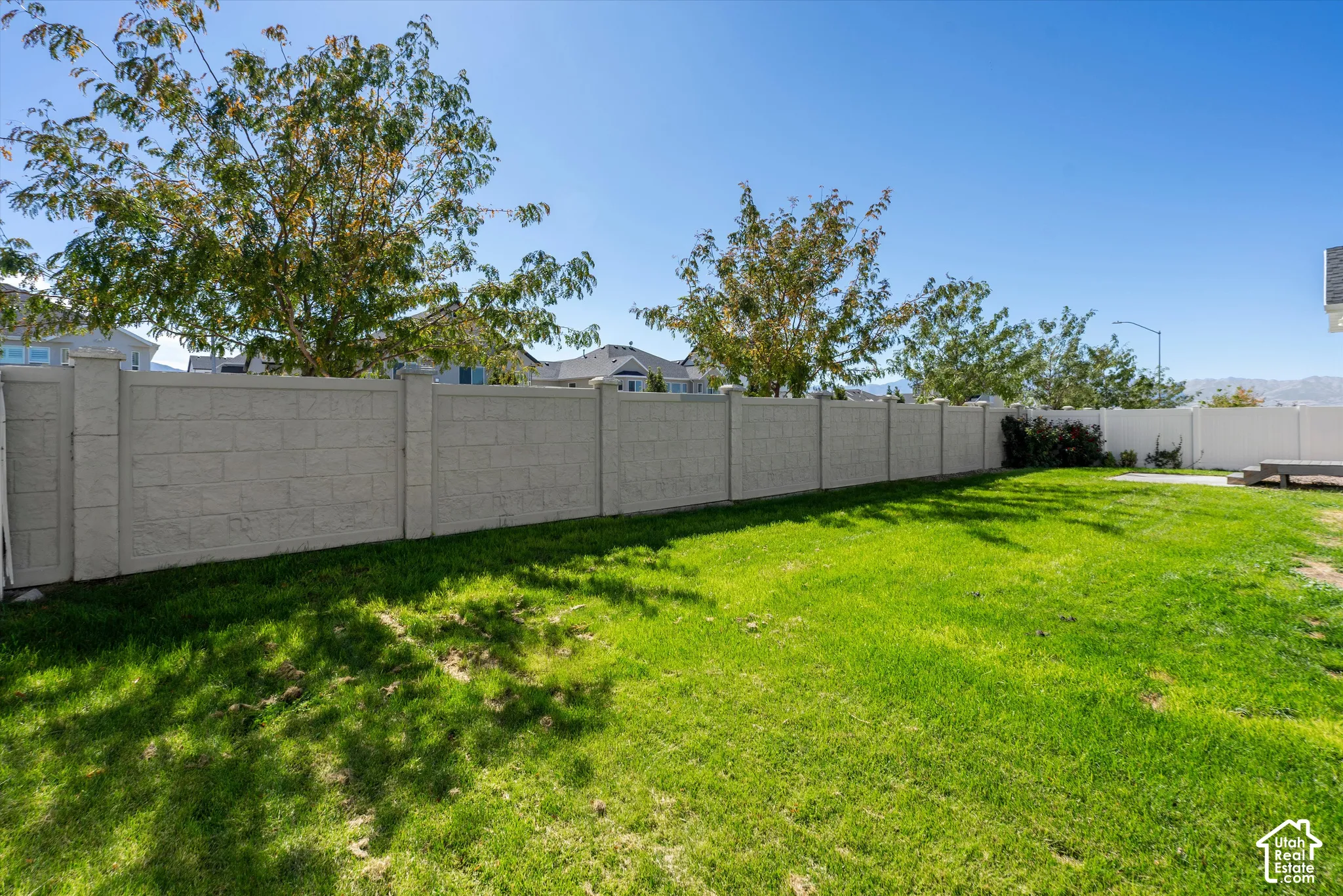 Expansive green lawn with a textured privacy fence and mature trees
