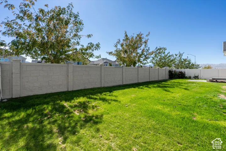 Expansive green lawn with a textured privacy fence and mature trees