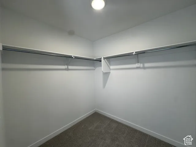 Wall-mounted clothing rods and shelving with recessed overhead lighting and carpet flooring