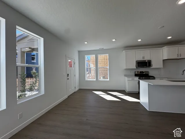 Wood-finish flooring throughout, white shaker-style cabinetry, stainless steel appliances, recessed ceiling lighting, and a kitchen island with a built-in sink