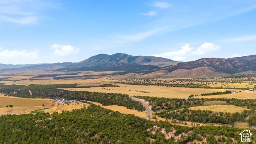 Expansive high desert landscape featuring distant mountain ranges and scattered evergreen trees