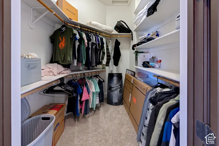 Custom closet with multiple white shelving units, integrated wooden hanging rods, and light-toned carpet flooring