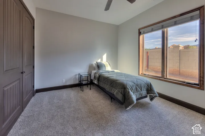 Wall-to-wall carpeting, wood-finish bi-fold doors, and a wood-framed window
