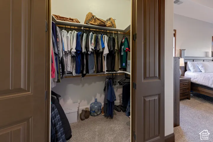 Walk-in closet with carpet flooring, built-in shelving, and hanging rods