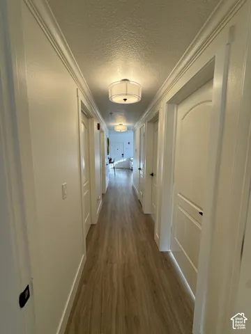 Hallway featuring wood-finish flooring, overhead drum light fixtures, and white paneled doors with dark hardware