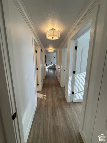 Hallway featuring wood-finish flooring, recessed lighting, white panel doors, and crown molding
