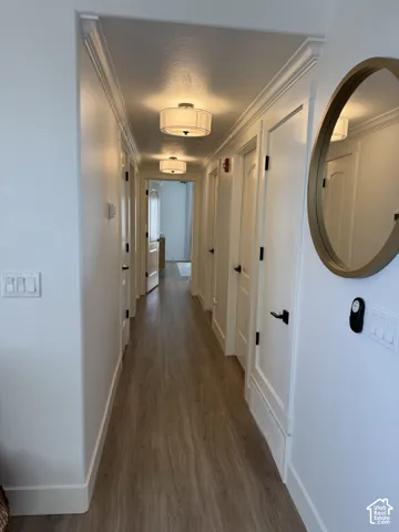 Hallway featuring wood-finish flooring, white paneled doors with black hardware, drum flush-mount light fixtures, and white crown molding