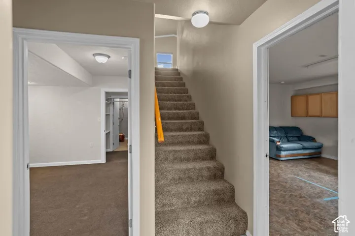 Carpeted staircase with a wood handrail, leading to an upper level with a window