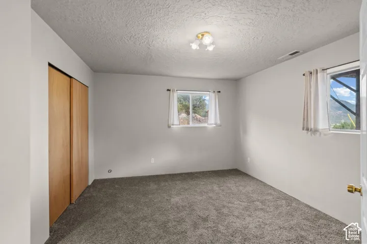 Carpeted flooring, two windows, wood-finish closet doors, and an overhead light fixture