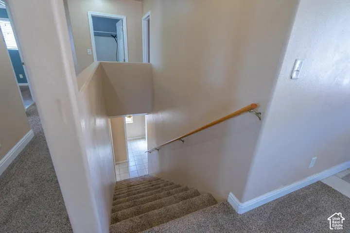 Carpeted staircase with a wood handrail