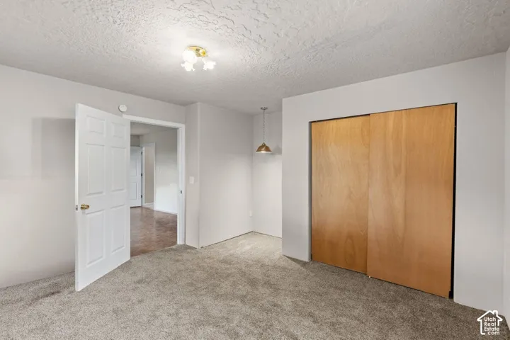 Carpeted flooring, paneled interior door, brass-finish ceiling light fixture, wood-finish sliding closet doors, and a pendant light fixture