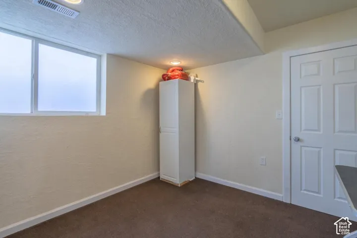 Frosted windows, recessed lighting, wall-mounted cabinetry, white panel door, and dark carpet flooring