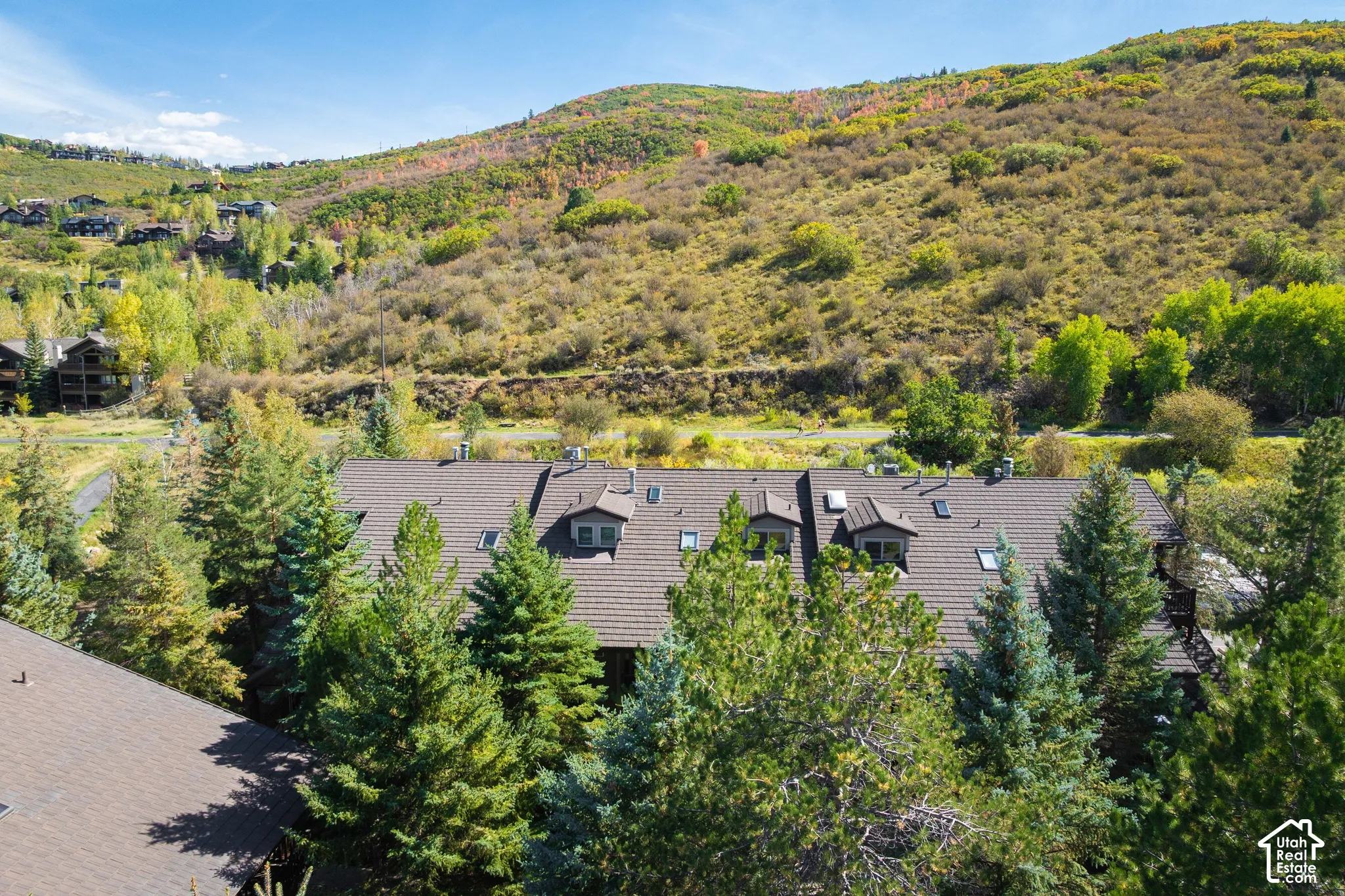 Terraced hillside setting with natural landscaping, dormer windows, and skylights