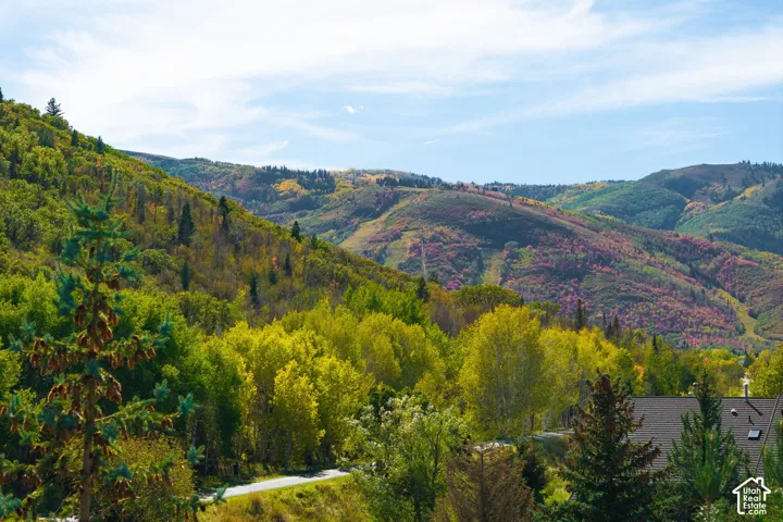Mountainous landscape featuring varied tree foliage and distant slopes