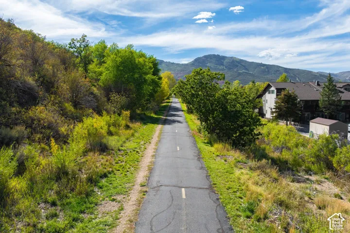 Paved pathway bordered by varied foliage