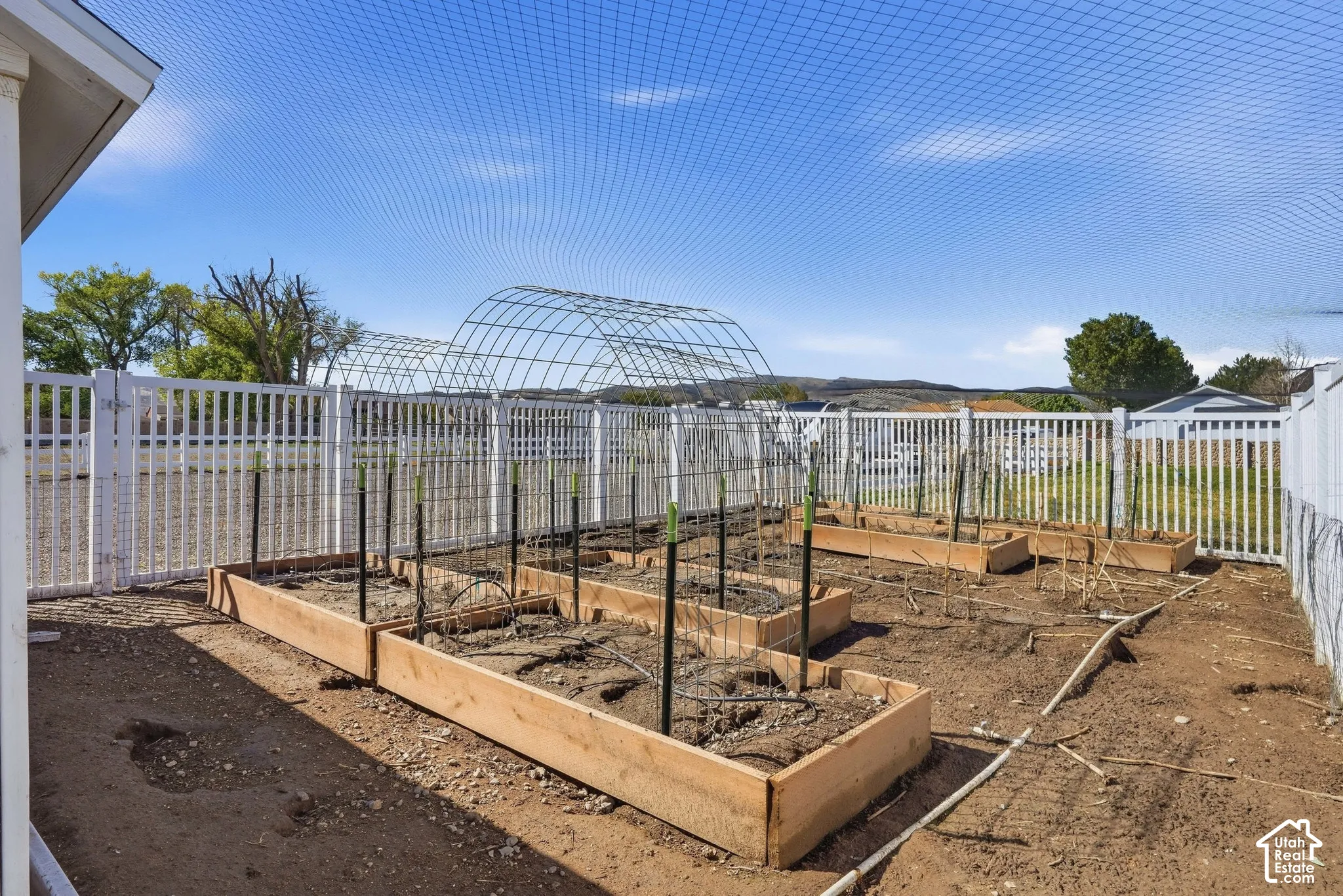 Expansive garden area featuring multiple raised beds, a white picket fence, a protective mesh canopy, and metal hoop structures