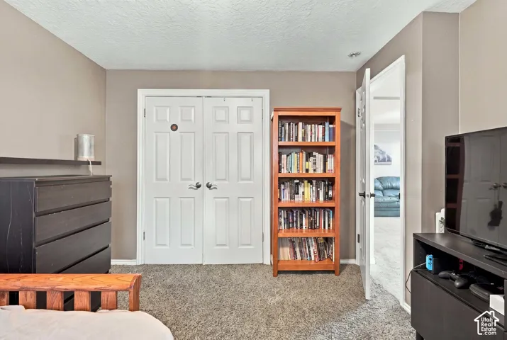 Textured carpet flooring, neutral painted walls, and white paneled double doors