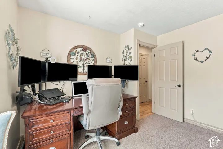 Neutral wall paint, carpeted flooring, paneled interior door, and overhead lighting fixture