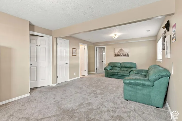 Spacious carpeted room featuring multiple panel doors, light neutral wall paint, and a semi-flush ceiling light fixture