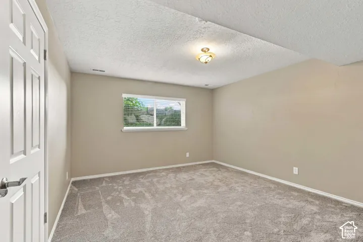 Neutral tone wall finishes, textured ceiling, window with blinds, flush mount light fixture, and carpet flooring